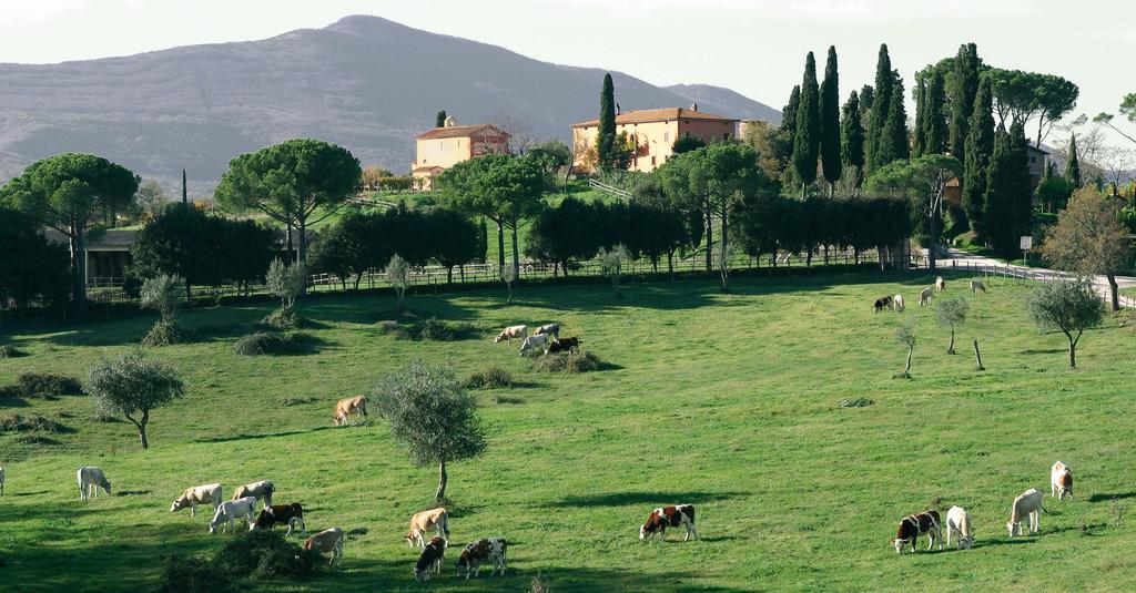 Poggiovalle Tenuta Italiana Belvedere  Eksteriør bilde